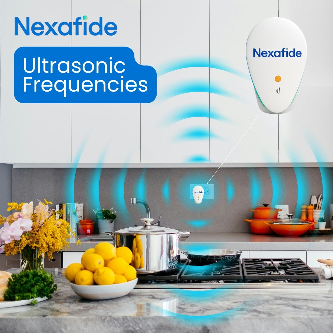 Why Families Choose Nexafide for Pest-Free Living